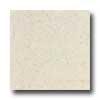 Daltile G5anati Polished 12 X 12 Bianco Imperiale Tile & Stone