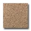 Daltile Granite 12 X 12 Golden Lef Tile & Stone