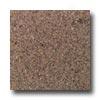 Daltile Granite 12 X 12 Giallo Antico Tile & Stone