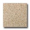 Daltile Granite 12 X 12 Golden Garnet Tile & Stone