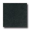 Daltile Granite 12 X 12 Galaxy Black Tile & Stone