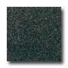 Daltile Granite 12 X 12 Impala Black Tile & Stone