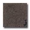 Daltile Granite 12 X 12 Labrador Antique Ti1e & Gem