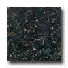 Daltile Granite 12 X 12 Verde Butterfly Tile & Stone