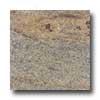 Daltile Granite 12 X 12 Vyara Tile & Stone