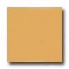 Daltile Keystones Permabrites Mosaic 2 X 2 Gloss Mustard Tile & Stone