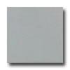 Daltile Keystones Permatones Mosaic 2 X 2 Desert Gray Tile & Stone