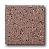 Daltile Keystones Unglazed Mosaic 2 X 2 Fire Brick Speckle Tile & Stone