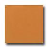 Daltile Keystones Unglazed Mosaic 2 X 2 Pumpkin Spice Tile & Stone