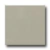 Daltile Keystones Unglazed Mosaic 1 X 1 Architectural Gray Tile & Stone