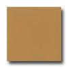 Daltile Keystones Unglazed Mosaic 2 X 2 Gold Coast Tile & Stone