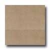 Daltile Kimona Silk 2 X 24 Sprout Tile & Stone