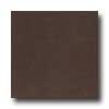 Daltile Komona Silk 24 X 24 Chai Tea Tile & Stone