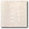 Daltile Landscape (unpolished) 12 X 12 Paros Unpolished Tile & Stone