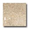 Daltile Limestone 18 X 18 Honed Napolina Tile & Stone