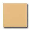 Daltile Liners Flat 1 X 6 Luminary Gold Tile & Stone