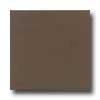 Daltile Liners Falt 1/2 X 6 Artisan Brown Tile & Stone