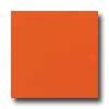 Daltile Liners Rope 1 X 6 Orange Burst Tile & Stone