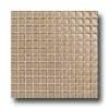 Daltile Maracas Glass Mosaics - Glossy Mushroom Tile & Stone