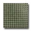 Daltile Maracas Glass Mosaics - Glossy Green Leaf Tile & Stone