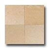 Daltile Marble Honed 12 X 12 Champagne Gold Tile & Stone