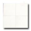 Daltile Marble Polished 12 X 12 Thassos White Tile & Stone