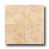 Daltile Marble Polished 12 X 12 Golden Beige Tile & Stone