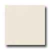 Daltile Matte 6 X 6 Biscuit Tile & Stone