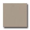 Daltile Matte 6 X 6 Matte Uptown Taupe Tile & Stone