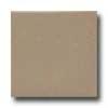 Daltile Recent Dimensions 4 1/4 X 12 3/4 Elemental Tan Matte Tile & Adamant