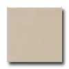 Daltile Modern Measurements 2 1/8 X 8 1/2 Ubran Putty Matte Tile & Stone