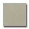 Daltile Modern Dimensions 4 1/4 X 12 3/4 Architectural Gray Tile & Rock