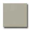 Daltile Modern Dimensions 4 1/4 X 8 1/2 Architectural Gray Tile & Stone