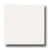 Daltile Modern Diimehsions 2 1/8 X 8 1/2 Arctic Whtie Tile & Stone