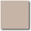 Daltile Natural Hues 2 X 8 Beige Pinpoint Tile & Stone