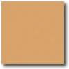 Daltile Illegitimate Hues 2 X 8 Dijon Tile&  Stone