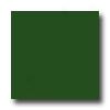 Daltile Natural Hues 2 X 2 Spriny Green Tile & Srone