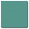 Daltile Natural Hues 3 X 6 Jade Tile & Stone