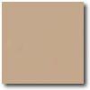 Daltile Natural Hues 3 X 6 Spicce Tile & Stone