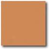 Daltile Natural Hues 3 X 3 Butterscotch Tile & Stone