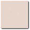 Daltile Natural Hues 3 X 3 Ivory Tile & Stone