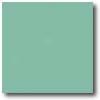 Daltile Natural Hurs 3 X 6 Mint Tile & Grave~