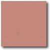 Daltile Natural Hues 4 X 4 Cayenne Tile & Stone