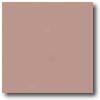 Daltile Natural Hues 6 X 6 Parfait Tile & Stone