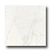 Daltile Navelli 12 X 12 Carrera Star Tile & Stone