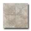 Daltile Paraiso 10 X 10 Artico Tile & Stone