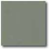 Daltile Porcealto (polished) 12 X 12 Verde (solid) Tile & Stone