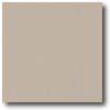 Daltile Porcealto (polished) 18 X 18 Grigio Tile & Stone