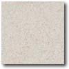 Daltille Porcealto (textured) 12 X 12 Bianco Castiglia Tile & Stone