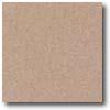 Daltile Porcealto (textured) 12 X 12 Rosa Corallo (graniti) Tile & Stone